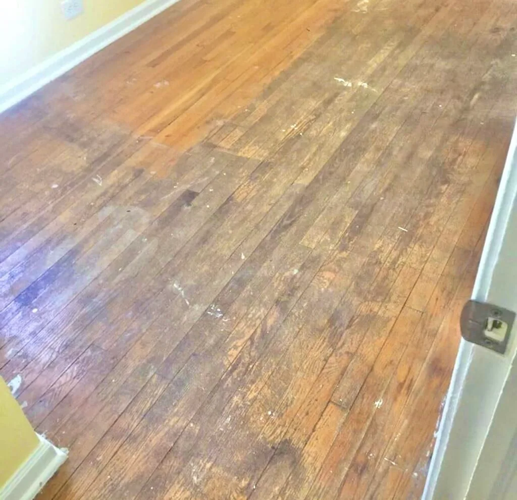 Red and White Oak Before Picture